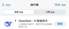 <b>DeepSeek努力于斥地差同化</b>